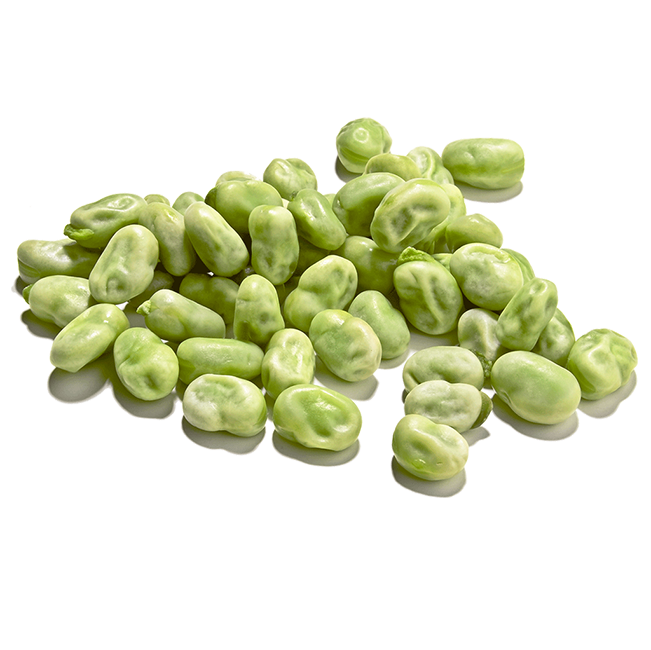 Green Broad Beans 