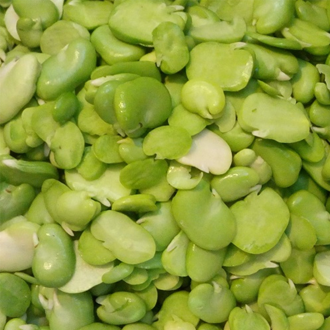 Green Broad Beans 