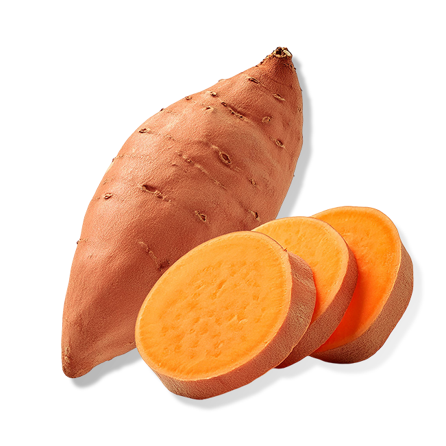 Sweet Potato 