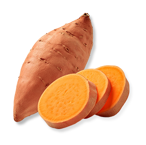 Sweet Potato 