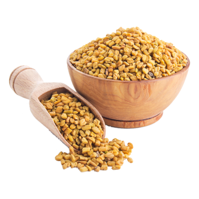 Fenugreek Oil