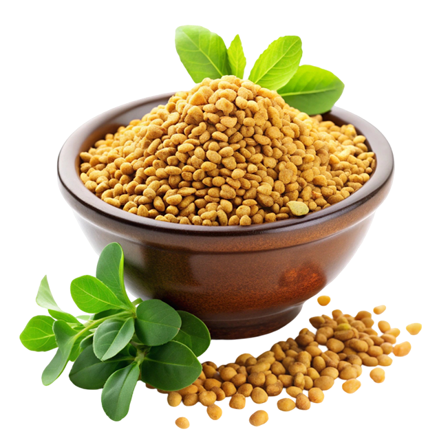 Fenugreek Oil