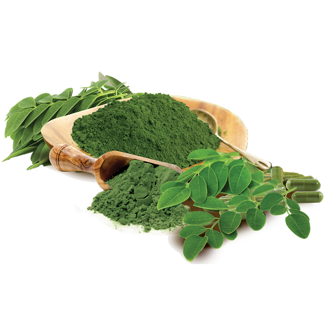 Moringa Oil