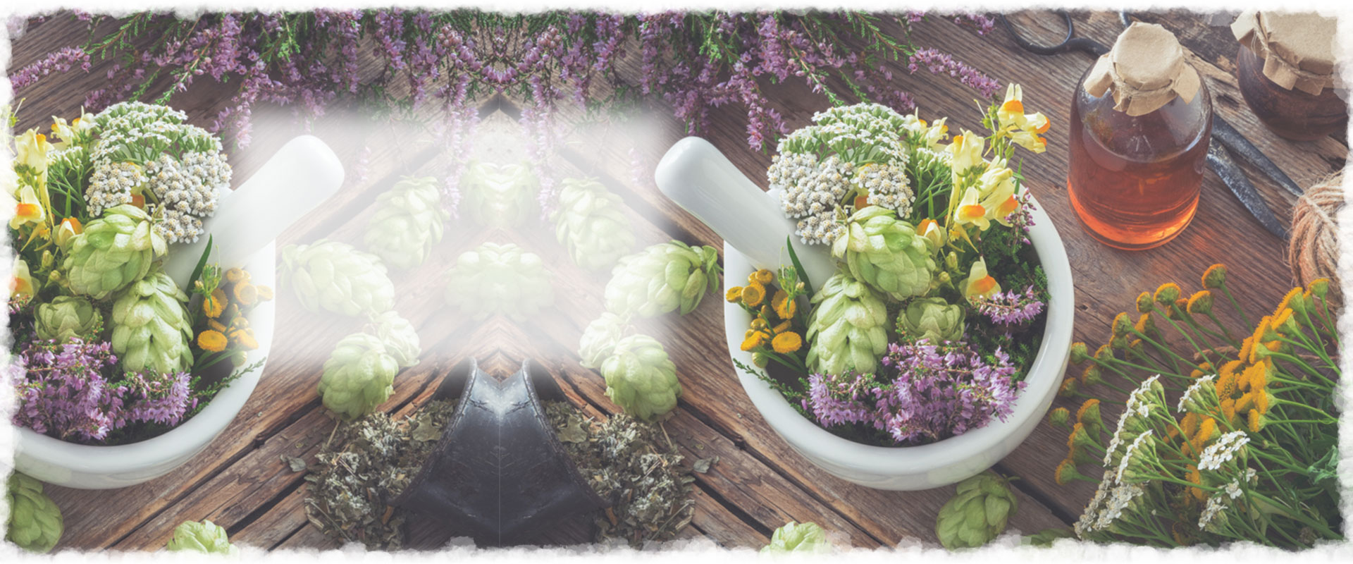 Essential oil sourcing and supply programmes