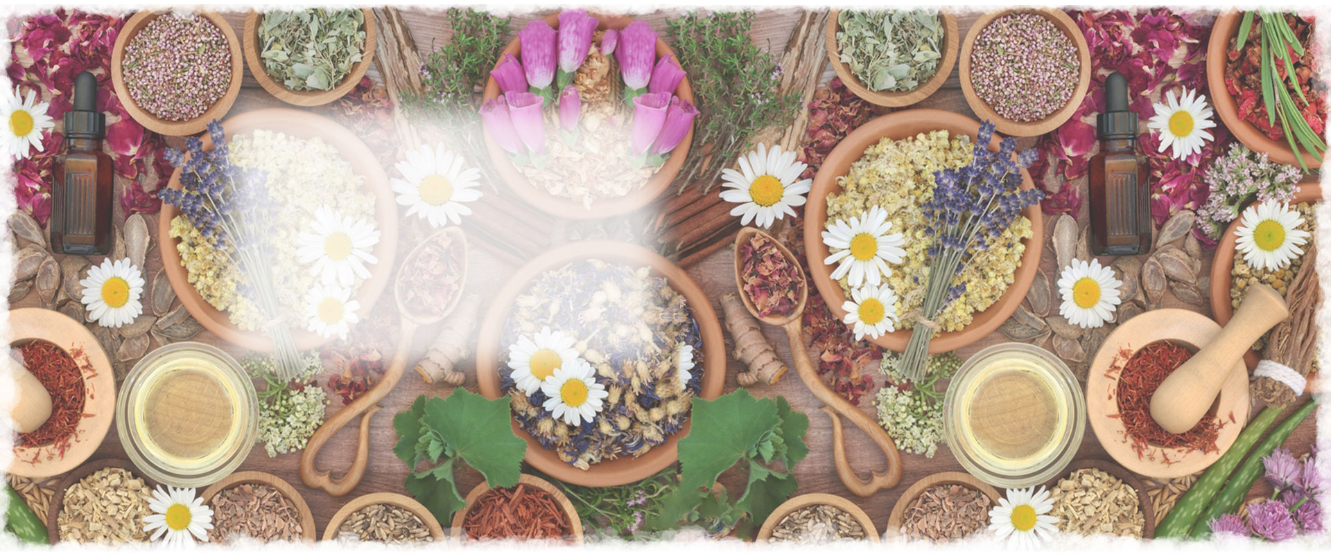 Aromatic and medicinal herbs, frozen fruit & vegetable, and essential oil supply programmes