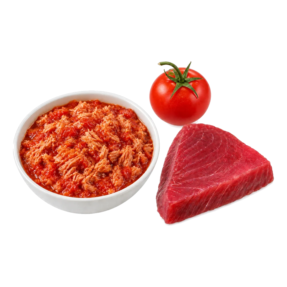 Unbranded product illustration: Tuna sandwich in tomato sauce