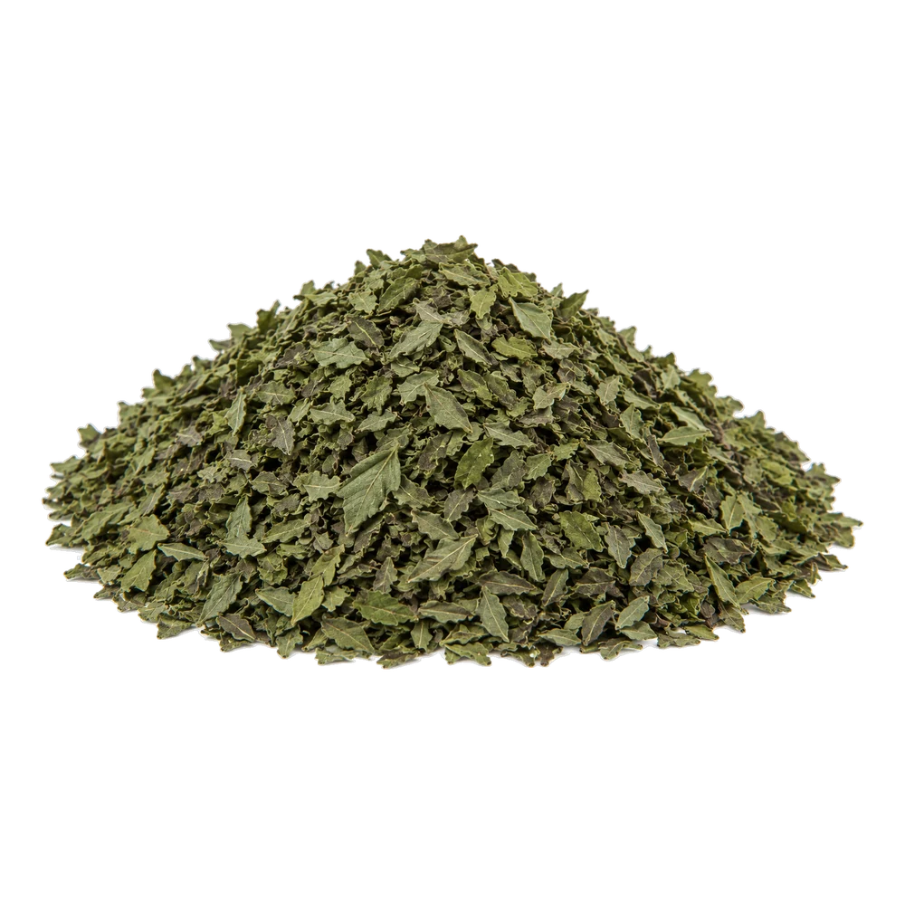 Unbranded product illustration: Basilic