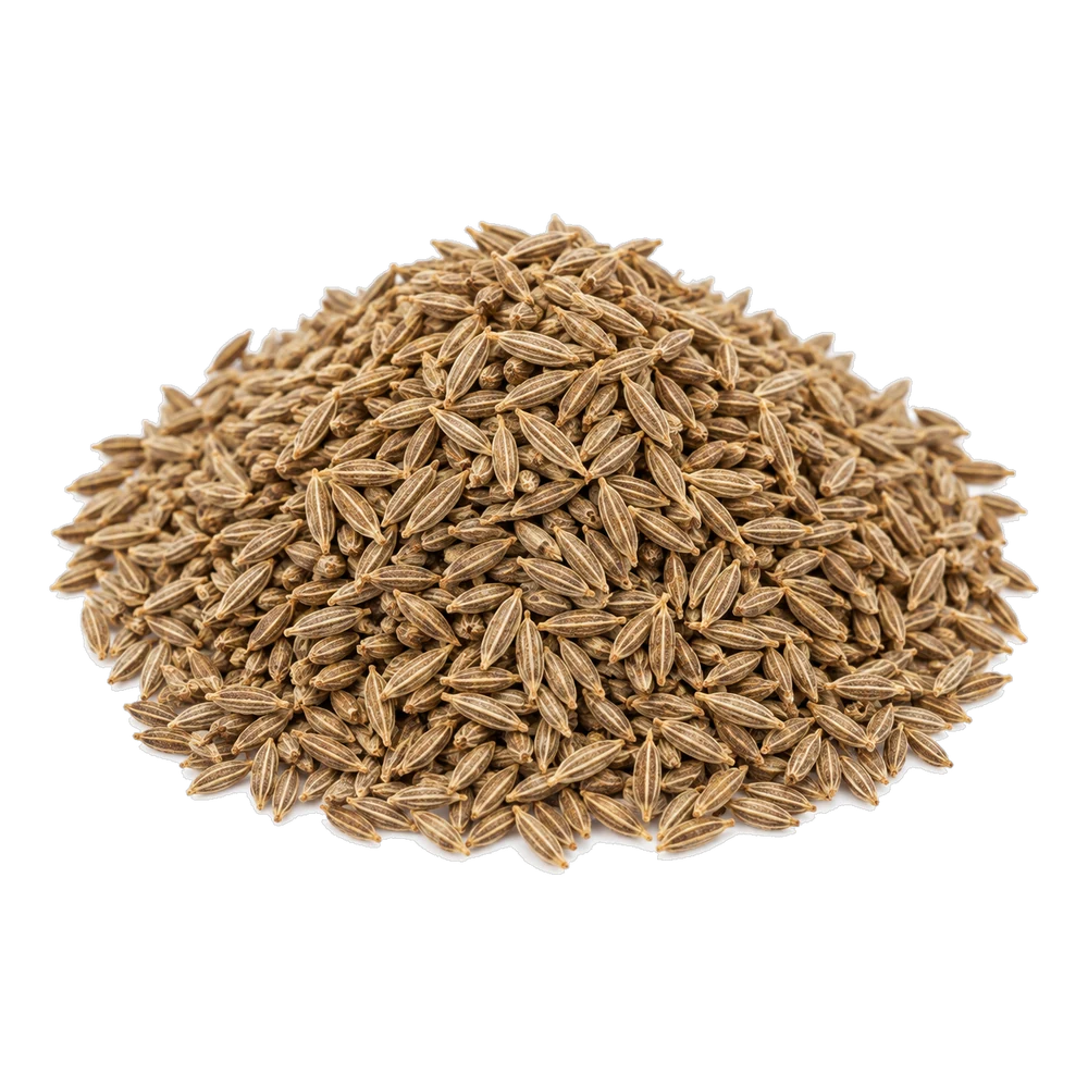 Unbranded product illustration: Graines de cumin