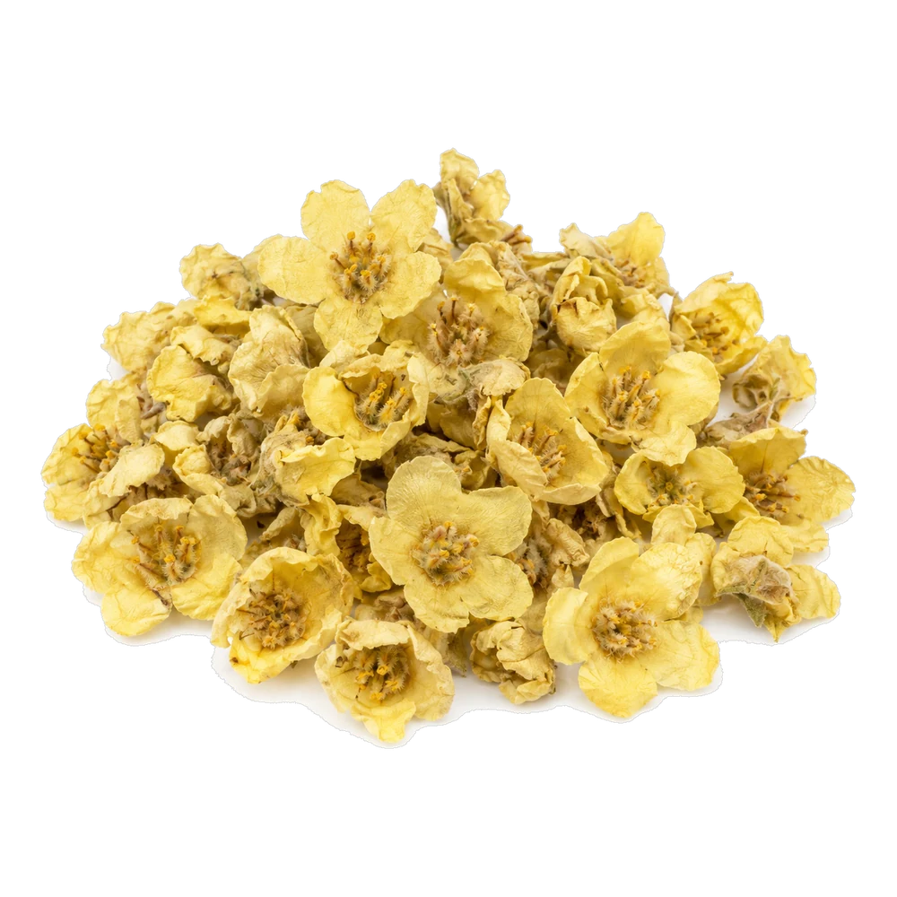 Unbranded product illustration: Verbascum (bouillon-blanc)