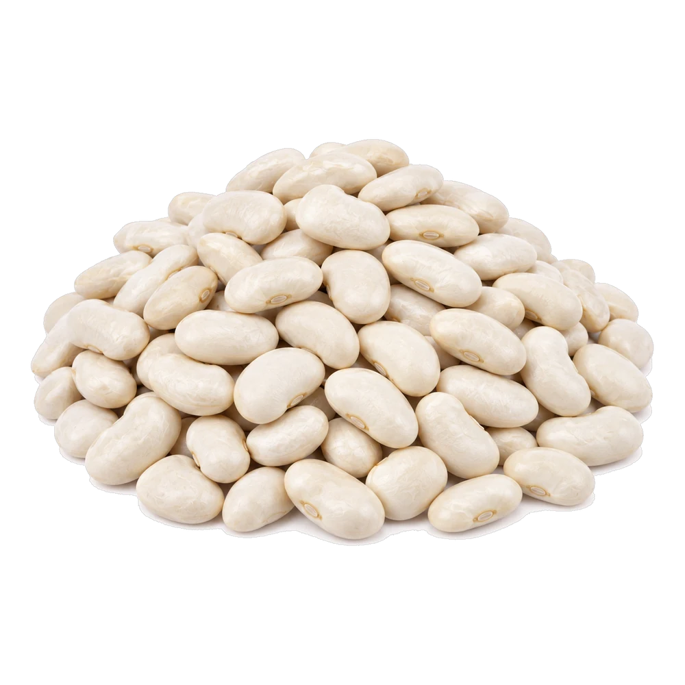 Unbranded product illustration: Haricots blancs