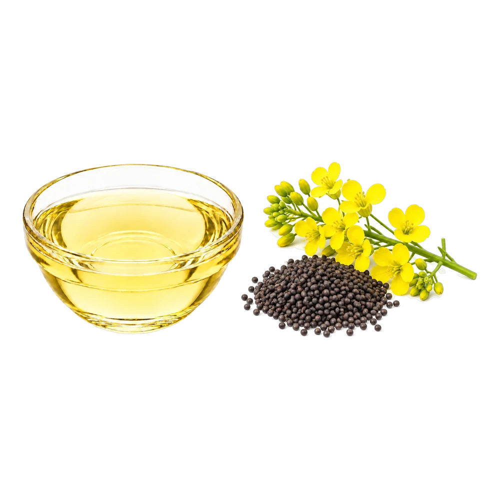 Unbranded product illustration: Refined canola oil