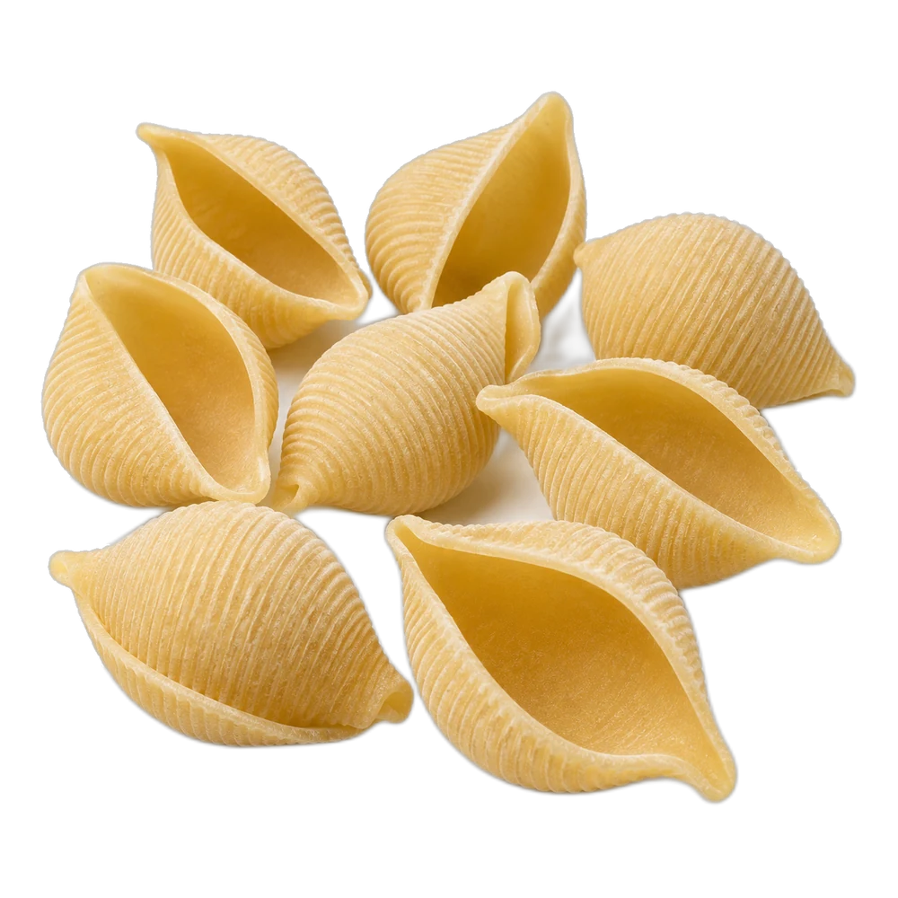 Unbranded product illustration: Conchiglioni