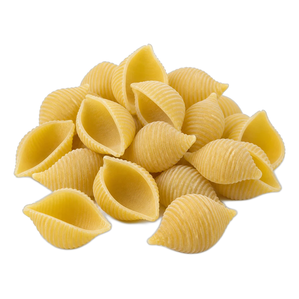 Unbranded product illustration: Conchiglie