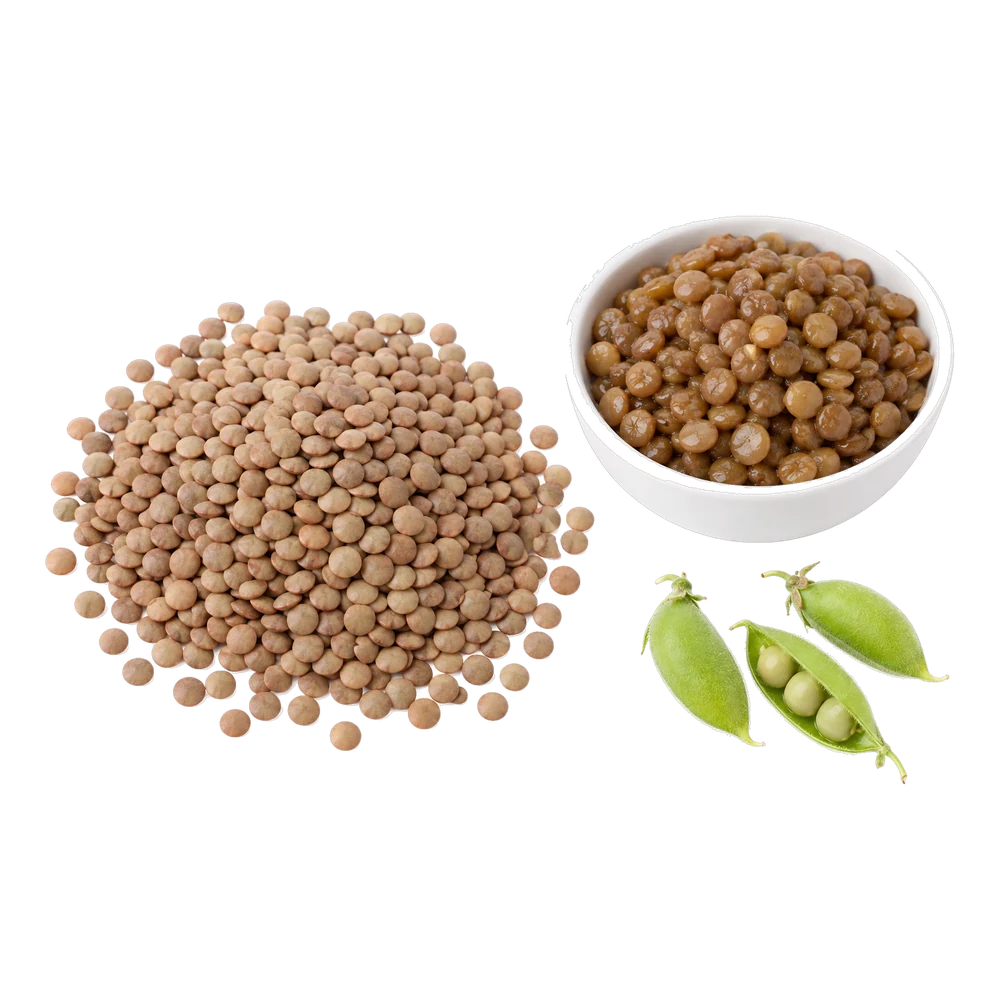 Unbranded product illustration: brown lentils