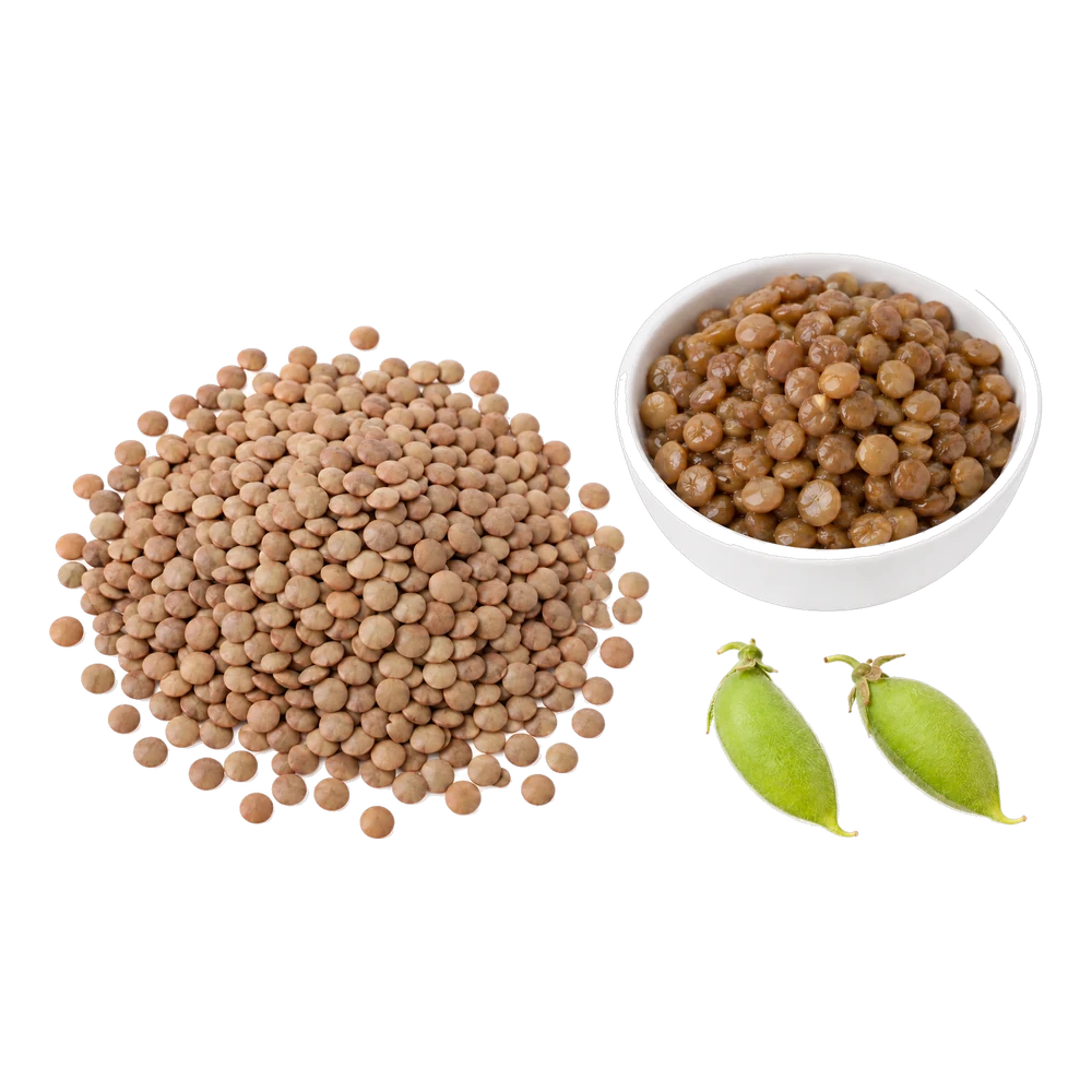 Unbranded product illustration: Brown lentils, whole